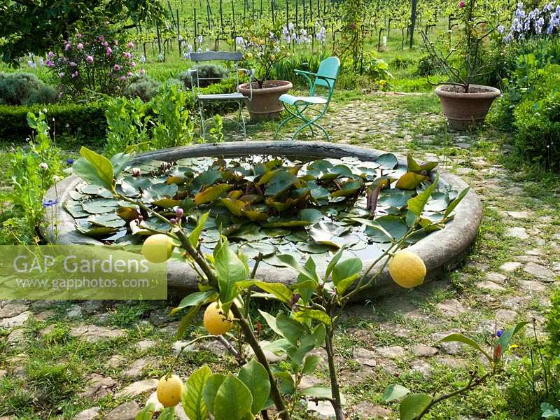 Parterre garden with small circular pond and lily pads at Locanda Casanuova, Tuscany, Italy