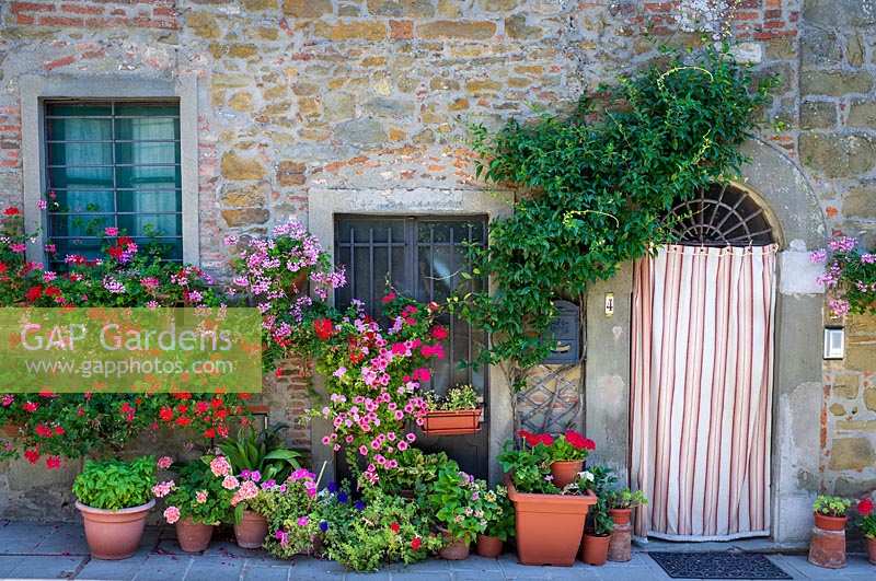 Potted plants and containers in Volpaia, Tuscany, Italy