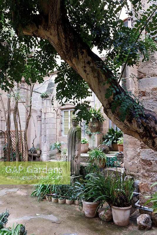 The garden of the Carthusian Monastery in Valdemossa, Mallorca, Spain, where Chopin and George Sands stayed