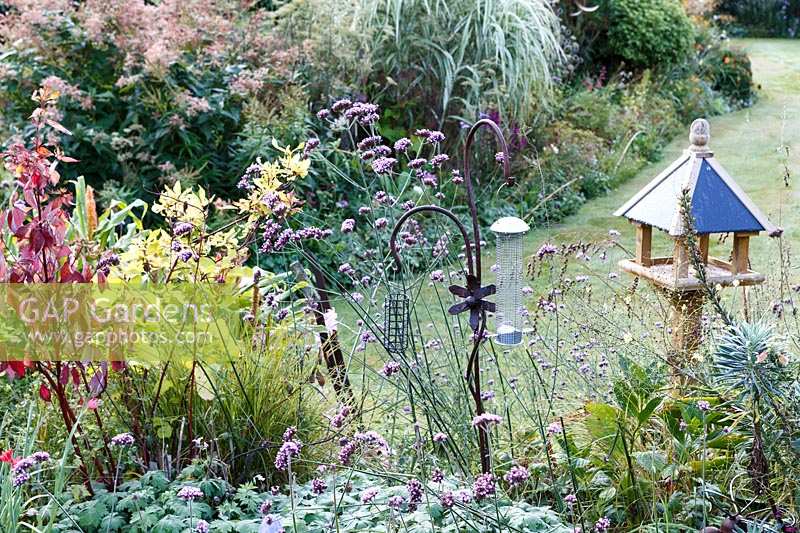 Little Ash Garden, Fenny Bridge, Devon. Autumn garden.  Bird 'feeding station' with peanut feeder and bird table
