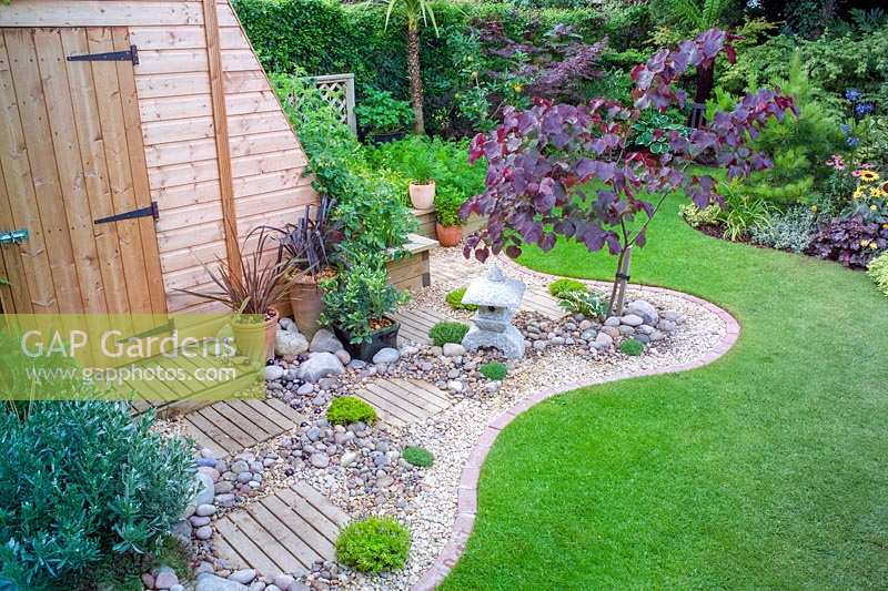 62 Hillcrest Rd, Nailsea, Somerset, UK. ( Andy Luft ) small town garden with good structure, interesting trees and shrubs. dry gravel area with oriental ( Japanese ) feel, Cercios canadensis 'Forest Pansy'