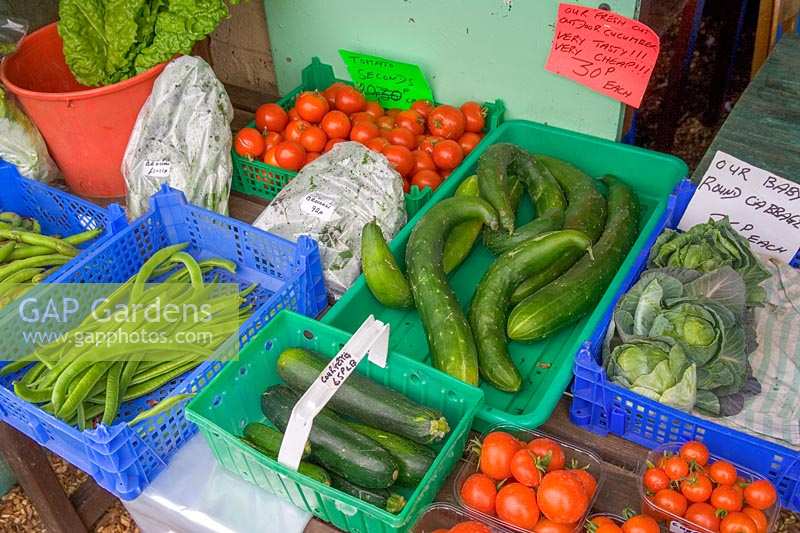 Pick Your Own Fruit and Vegetable farm, Somerset, UK ( Danny Wilson ) mixed vegetables for sale