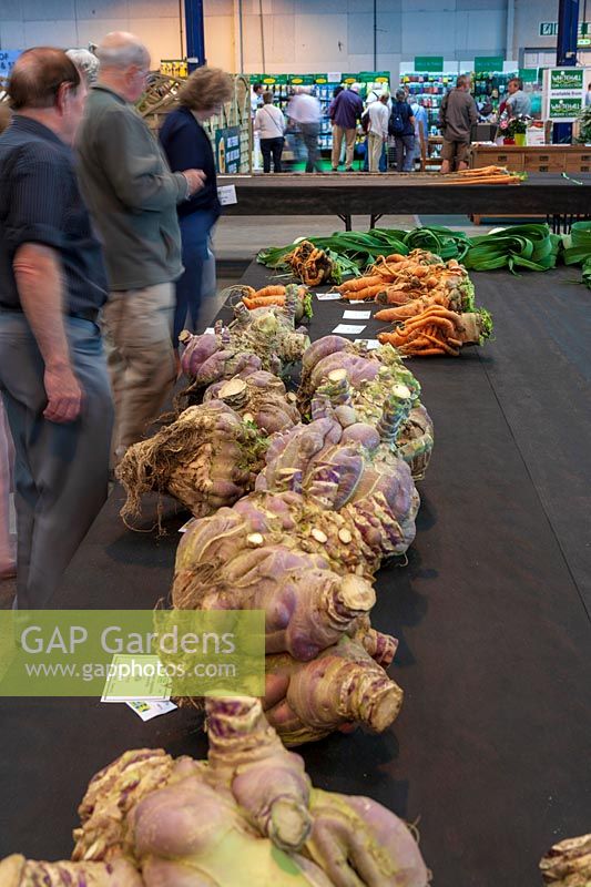 National Amateur Gardening Show 2007, UK. Giant vegetables