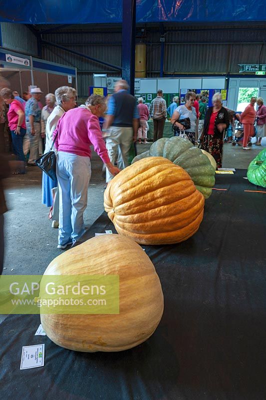 National Amateur Gardening Show 2007, UK. Giant vegetables