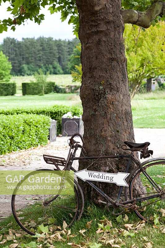 Old bike with a wedding sign attached