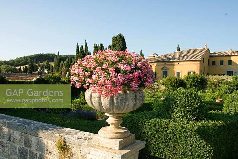 Villa La Foce, Tuscany, Italy. Large garden with topiary clipped Box hedging and views across the Tuscan countryside, urn planted with pink Pelargonium