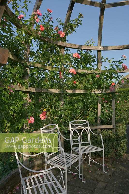 Waterperry Garden, Oxfordshire. white metal chairs beneath rose arbour