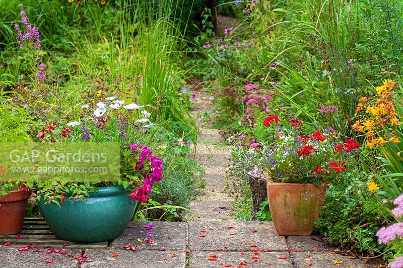 Duncan Skene's garden in Somerset. Paved patio with containers late summer