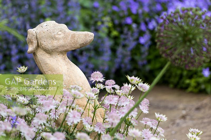 Dog statue with Astrantia and Viola