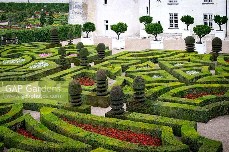 Chateau Villandry, Loire Valley, France, the famous knot garden and parterre with yew hedging and topiary