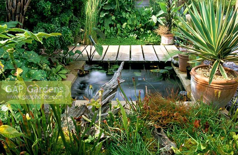 Waterford Lane Hampshire Design Peter Read Small pond with flat bridge and exotic plants