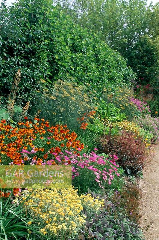 Private garden. Hampshire. Design: Barbara Hunt. Herbaceous border with Achillea 'Cerise Queen', Helenium 'Moerheim Beauty'. Fen