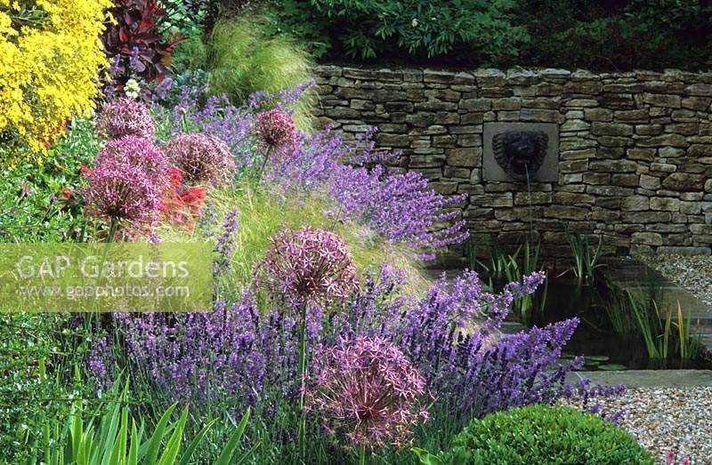 Home Farm Hampshire Design Fiona Lawrenson herbaceus cool colour theme summer flower border with Allium christophii Lavender Nep