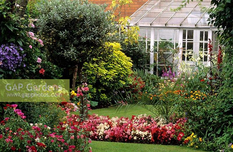 Cornmeadow Lane Worcestershire summer bedding Begonias and mixed shrubs with view of conservatory