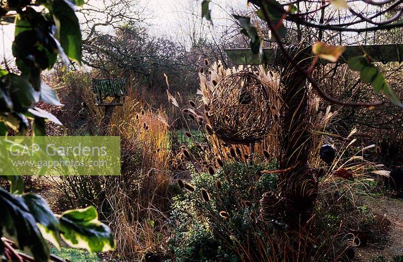 Sticky Wicket Dorset Wild flower wildlife garden in autumn with seed producing plants and bird feeders