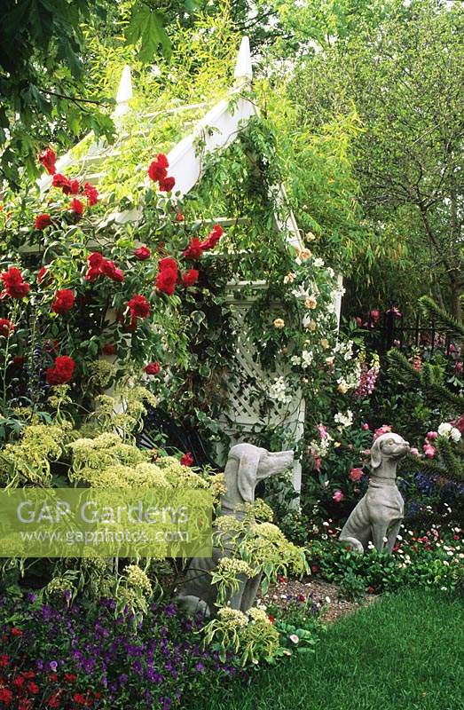 Chelsea FS 1997 Design Julian Dowle Rose covered seat with climbing roses and dog statues Cornus controversa Variegata