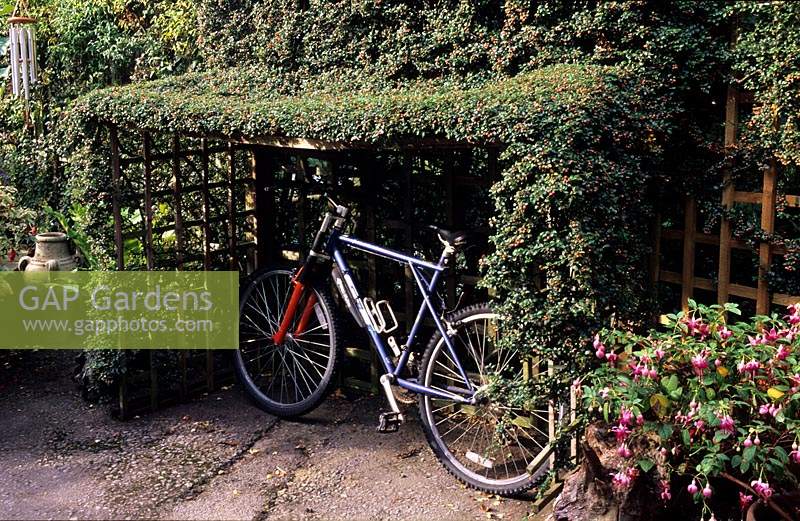 Tilford Cottage Surrey hidden concealed bike storage Cotoneaster