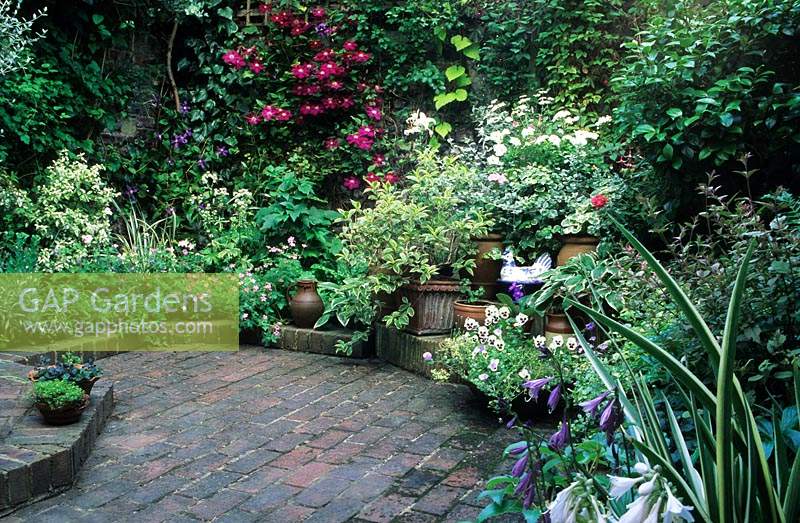 Brighton Small town garden patio with brick floor Overview of narrow bed and area for potted plants