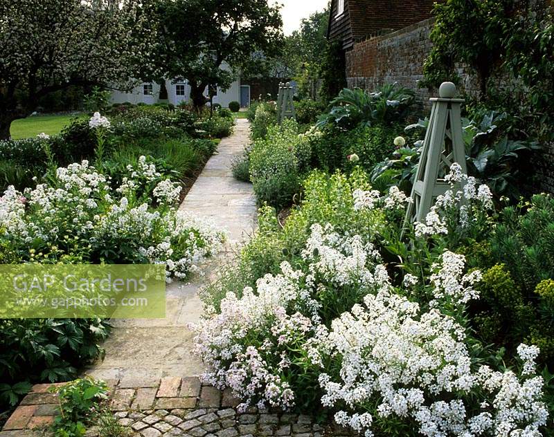 private garden Sussex Design Fiona Lawrenson white border with cobblestone path in summer Hesperis Euphorbia
