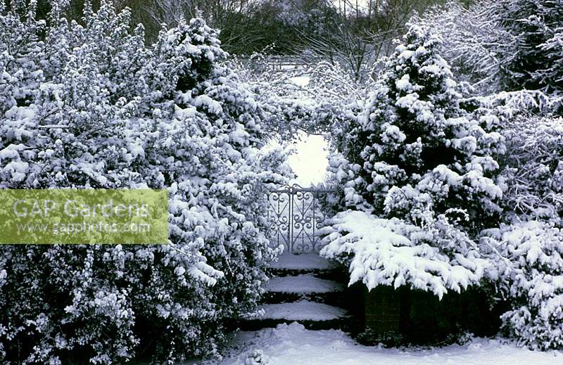 The Oast Houses Hampshire view through garden gate in winter snow