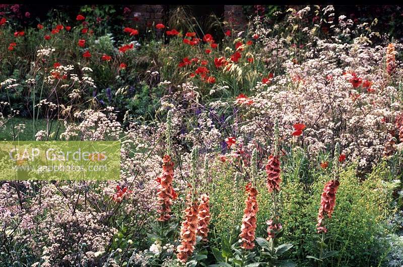 Chelsea Flower Show 2008 design Denise Preston cottage garden border with Anthriscus sylvestris Ravenswing and summer flower