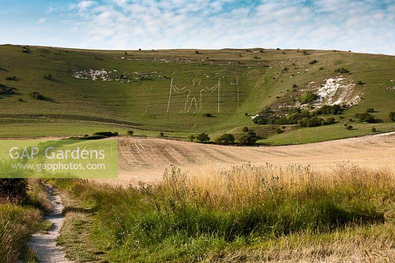 Long Man of Willmington ancient monument chalk hill figure East Sussex England South Downs landscape summer sun sunshine