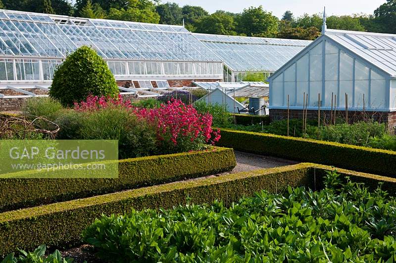 walled kitchen garden cut flowers borders summer flowers June West Dean boxwood hedges greenhouses glasshouses view paths sun