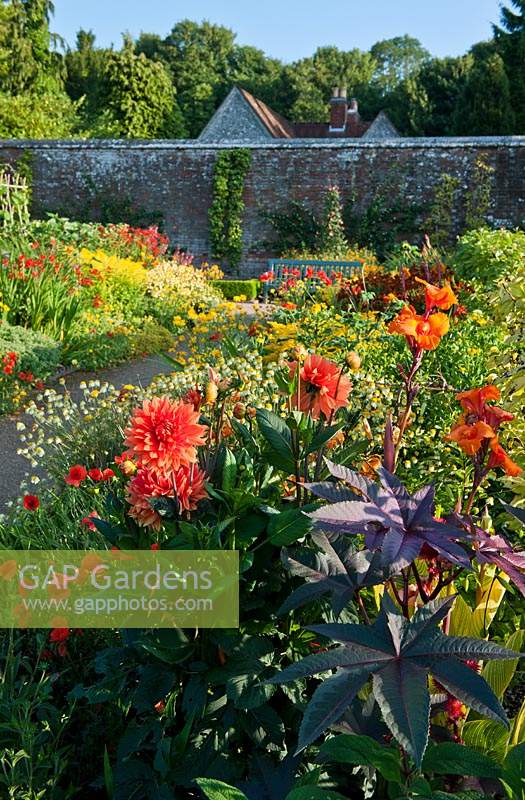hot warm colour color borders view mixed summer border West Dean Sussex England walled garden July path formal focal point wood