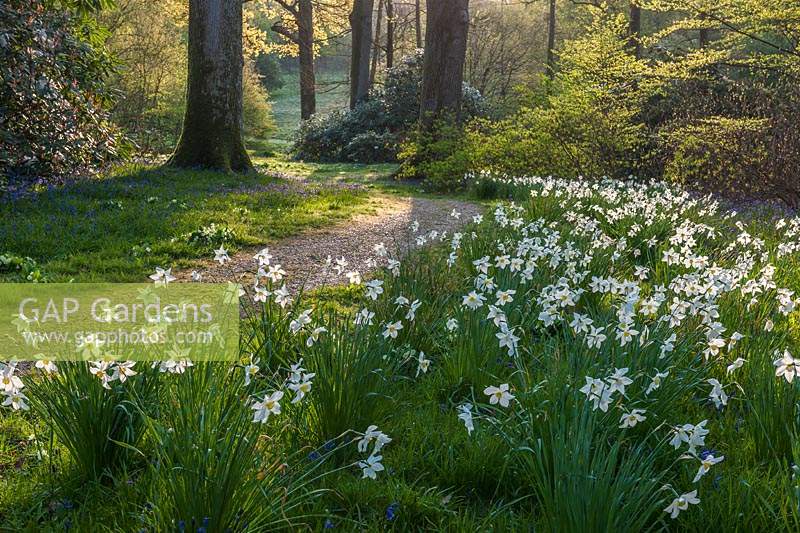 High Beeches garden, Sussex