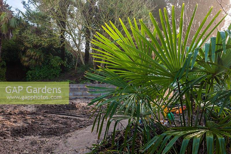 Round Dell garden redesign at Borde HIll