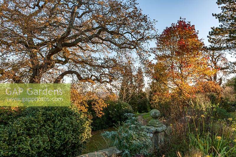 Borde Hill garden in autumn