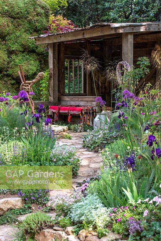Path leading through borders in The Donkey Sanctuary: Donkeys Matter Garden at RHS Chelsea Flower Show 2019, Design: Christina Williams 