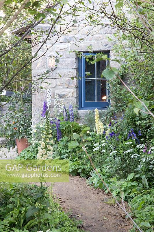 The Welcome to Yorkshire Garden – path leading to lock keepers cottage, planting of lupins, foxgloves and delphinium - Designer: Mark Gregory  - Sponsor:  Welcome to Yorkshire