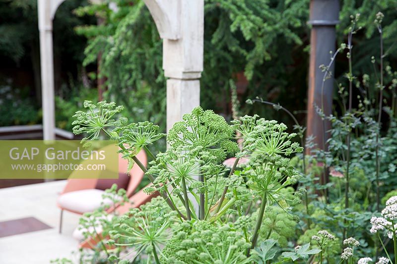 The Wedgwood Garden, arched architectural structure, chairs, umbellifers, Ammi majus, Thalictrum 'Elin'. Design: Jo Thompson. Sponsor: Wedgewood