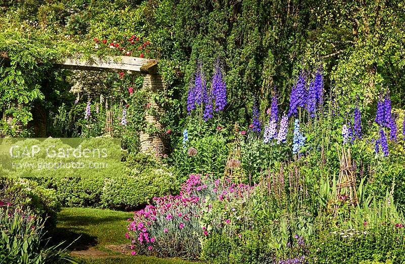 Delphinium, Dianthus 'Devon Wizard' and Hebe in The Old Cottage Garden, Highgrove, June, 2019.
