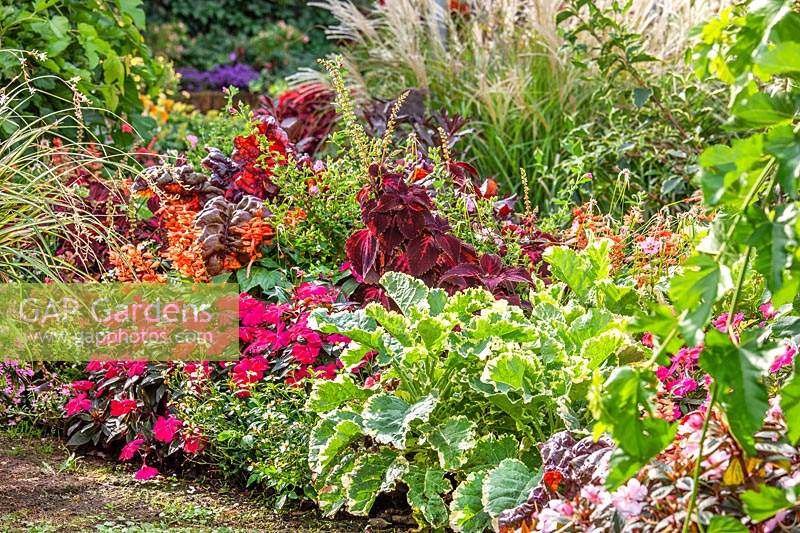 Colorful border with annuals