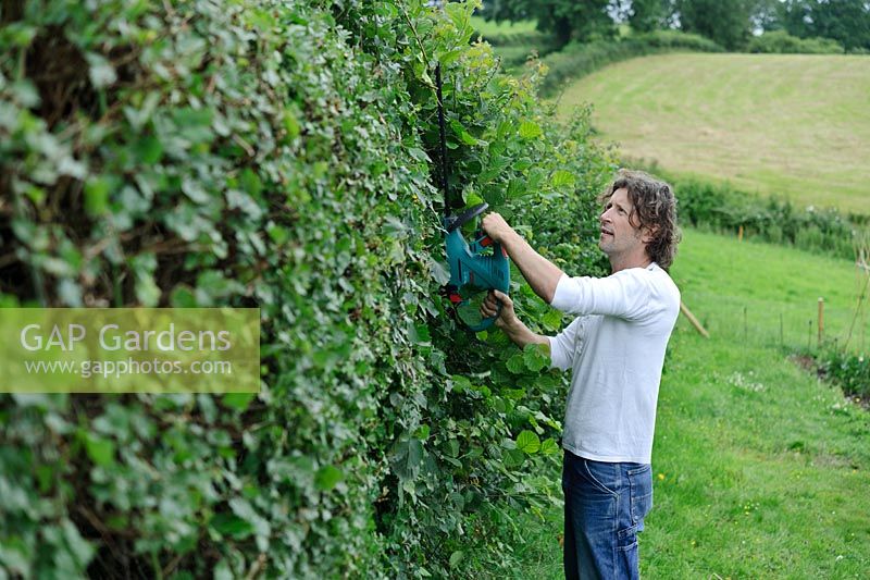 Sharpen lines by cutting Hedges, July.