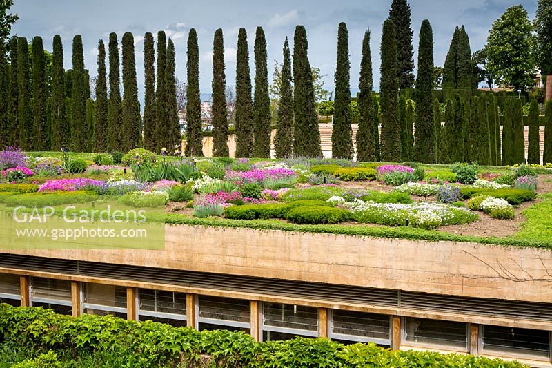 Roof garden with Pencil cypress - Cupressus sempervirens, The Alhambra, Granada.