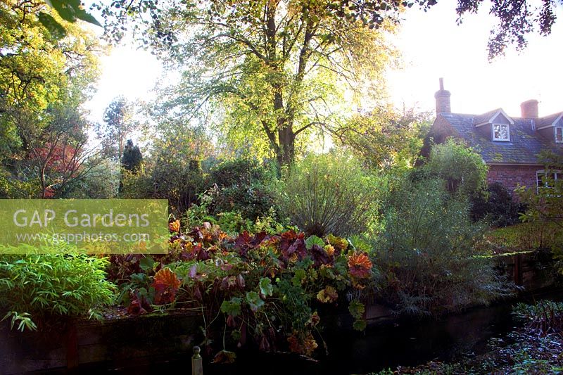 A view of a riverside cottage garden. 
