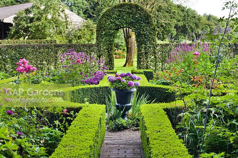 Knot garden with decorative urn planted with hydrangea. 
