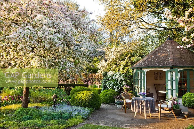 A view of a gazebo and patio with garden table and chairs by a flowering Malus floribunda. 
