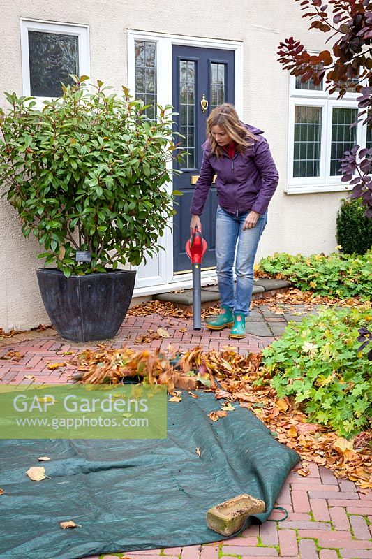 Woman using a leaf blower and sheet to gather up leaves from a patio. 