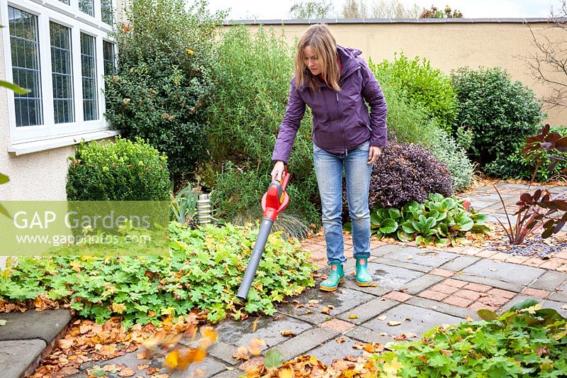 Woman using a leaf blower to gather up leaves from a patio.