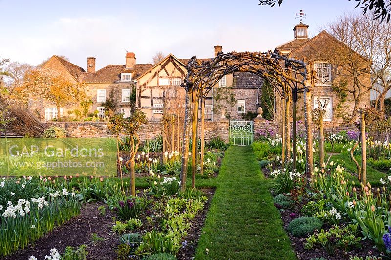 A view of a cutting garden, Brilley Court Farm, Whitney-on-Wye, Herefordshire, UK. 