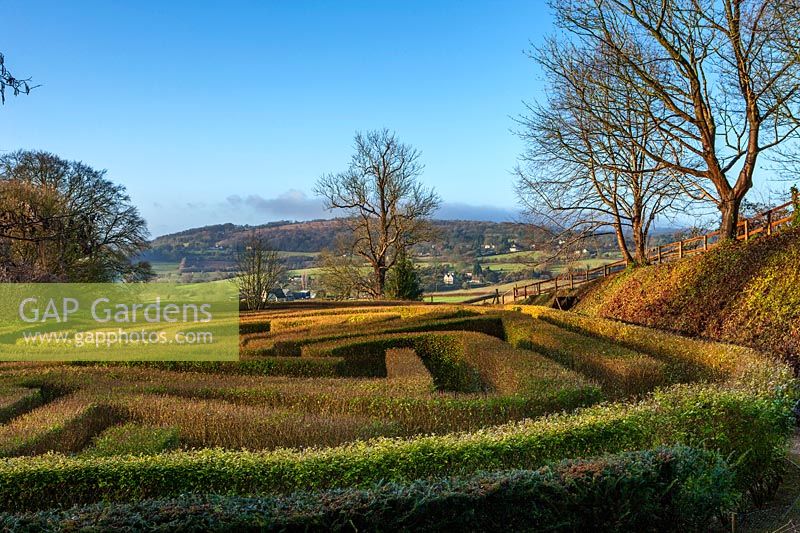 View across maze to countryside beyond