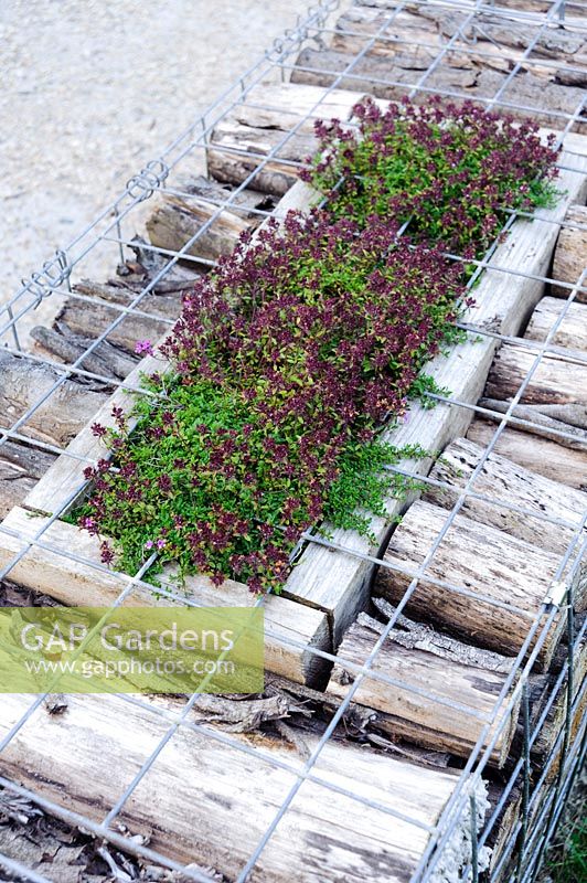 Log filled gabion wall with wooden planters and herbs,