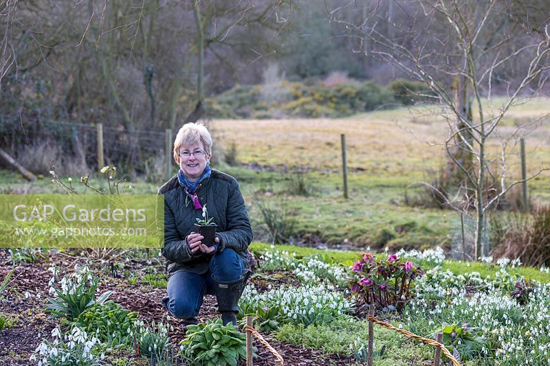 A portrait of Jane-Ann Walton in her garden, among the snowdrops and hellebores. 
