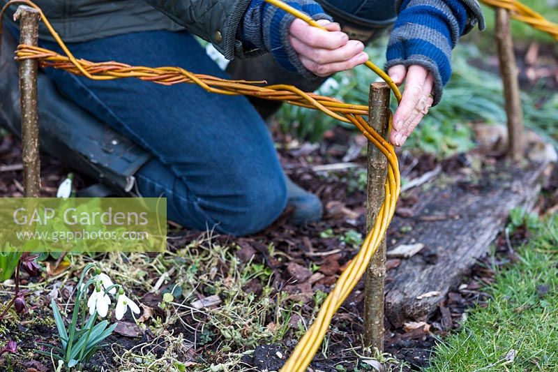 Person adding a willow hurdle through a winter flowering border to create a bark pathway.
