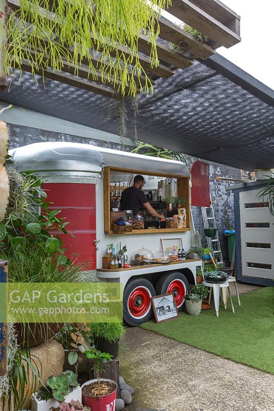 A barista in a pop up converted horse float cafe, surrounded by a selection of potted plants, Australia. 