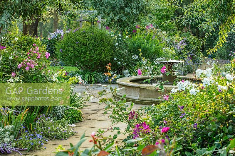 Circular fountain with 'Rose' - Rosa 'Old Blush China' - South Garden, Morton Hall Gardens 